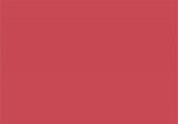 Tusiera Versacolor 10x6 cm-rosie