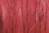 Panglica decorativa din rafie -40 m-rosie